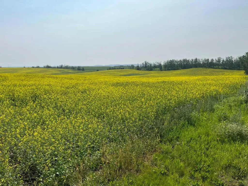 Range Road 263 Rural Red Deer County AB T4E 0Y8