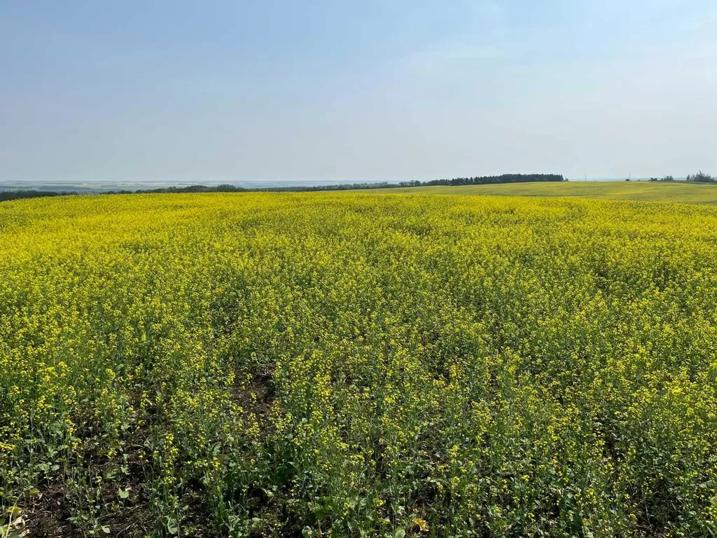 Range Road 263 Rural Red Deer County AB T4E 0Y8