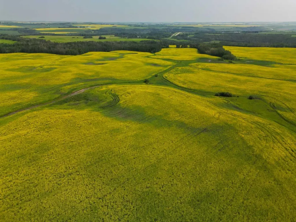 Range Road 263 Rural Red Deer County AB T4E 0Y8
