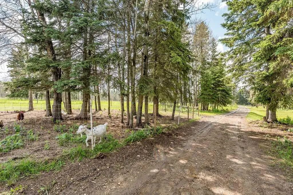 470047 Rge Road 35 Winfield AB T0C2X0