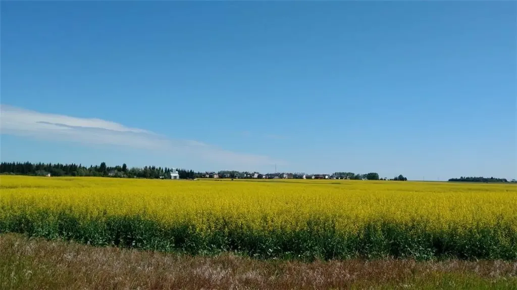 30077 Rr14 NW Carstairs AB T0M 0N0