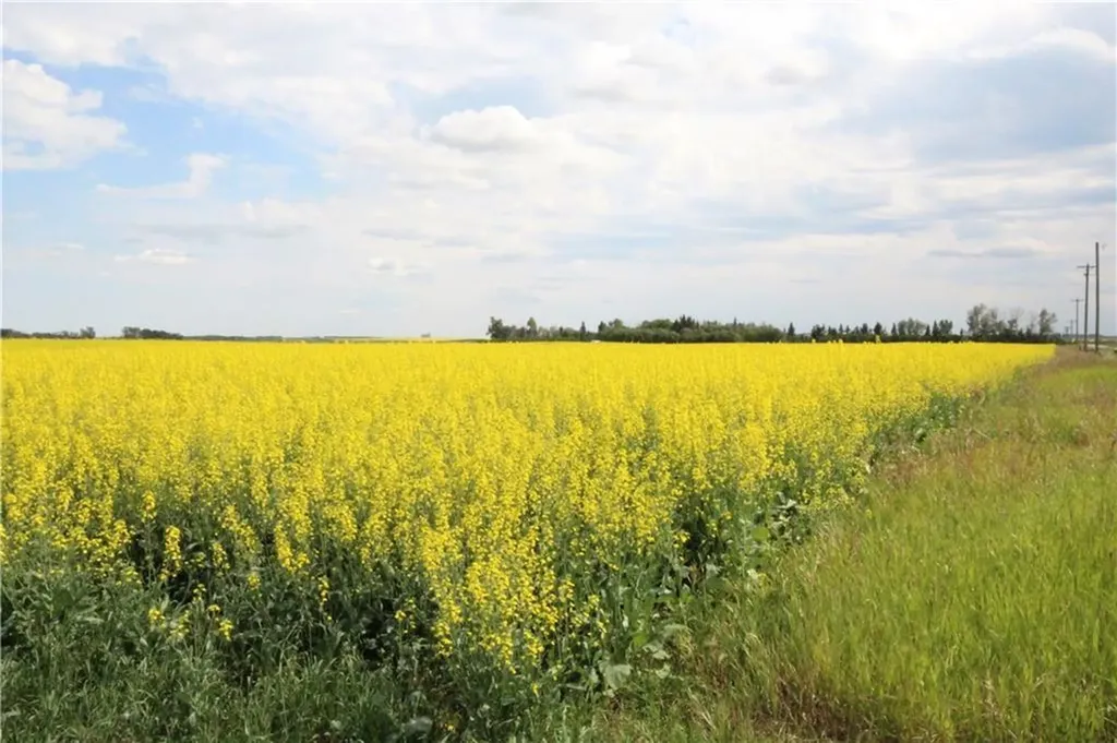 30077 Rr14 NW Carstairs AB T0M 0N0