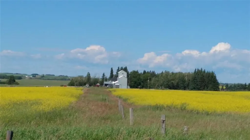 30077 Rr14 NW Carstairs AB T0M 0N0