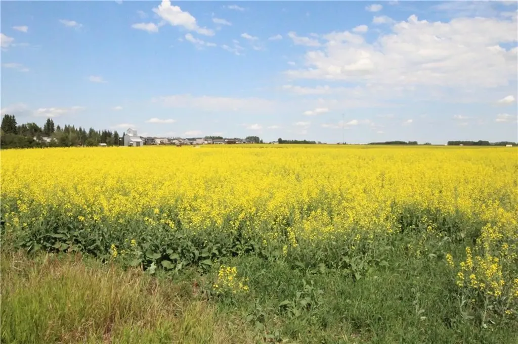 30077 Rr14 NW Carstairs AB T0M 0N0