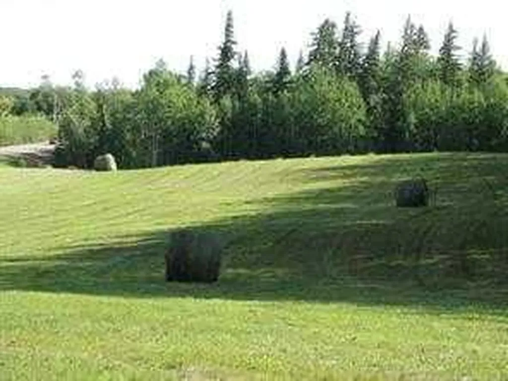 404-13352 Lakeland Rural Lac La Biche County AB T0A2C1