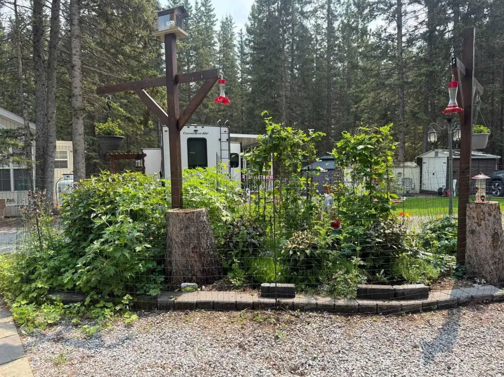 5230 27 Highway Rural Mountain View County AB T0M1X0