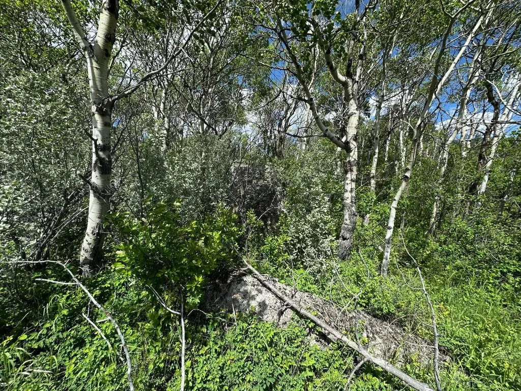 North Of 21 Ave East Of 150 Street Frank AB T0K 0E0