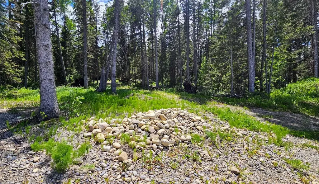 5209 Township Road 325a Rural Mountain View County AB T0M 1X0