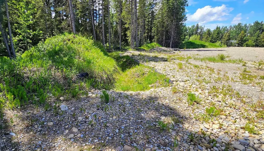 5209 Township Road 325a Rural Mountain View County AB T0M 1X0