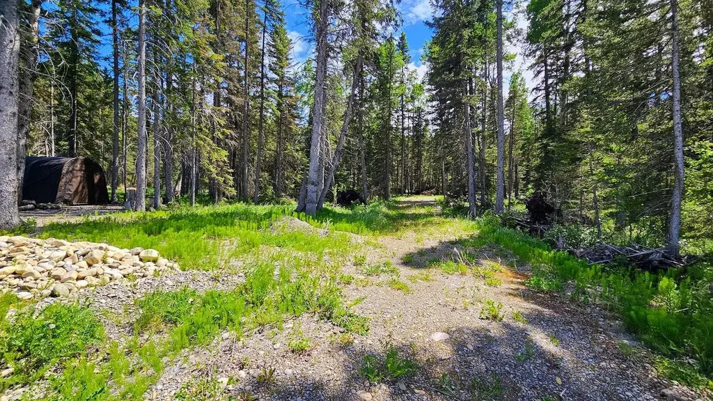 5209 Township Road 325a Rural Mountain View County AB T0M 1X0