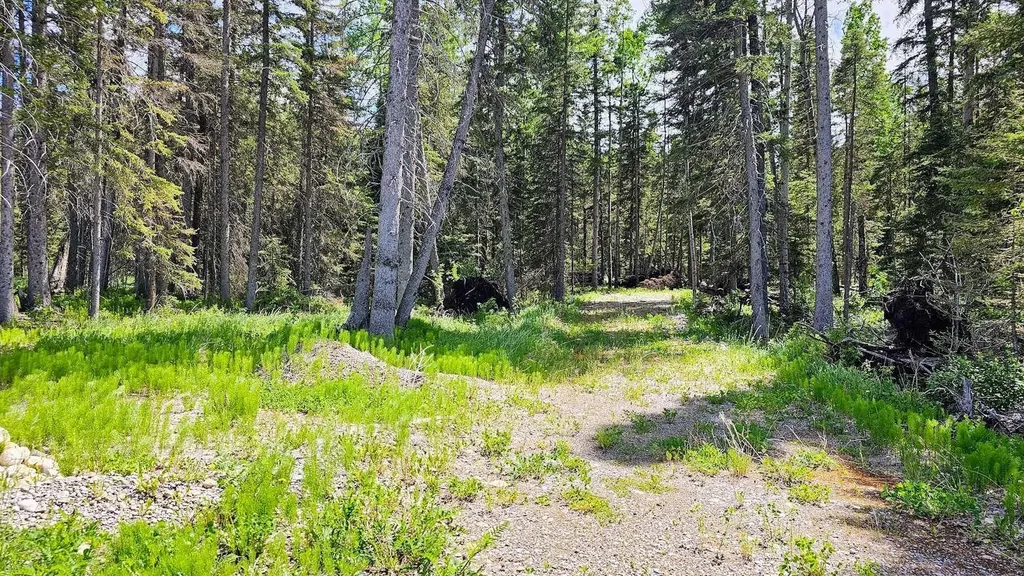 5209 Township Road 325a Rural Mountain View County AB T0M 1X0