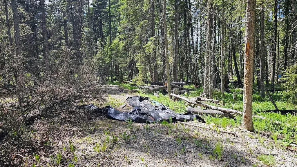 5209 Township Road 325a Rural Mountain View County AB T0M 1X0