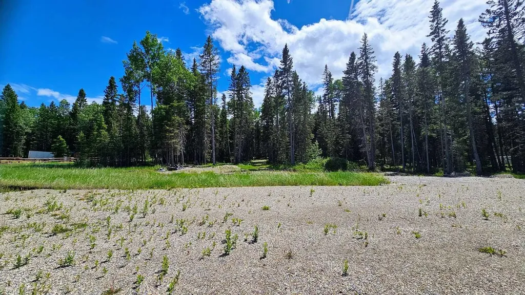 5209 Township Road 325a Rural Mountain View County AB T0M 1X0