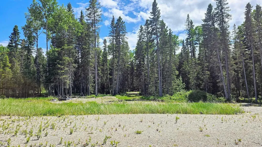5209 Township Road 325a Rural Mountain View County AB T0M 1X0