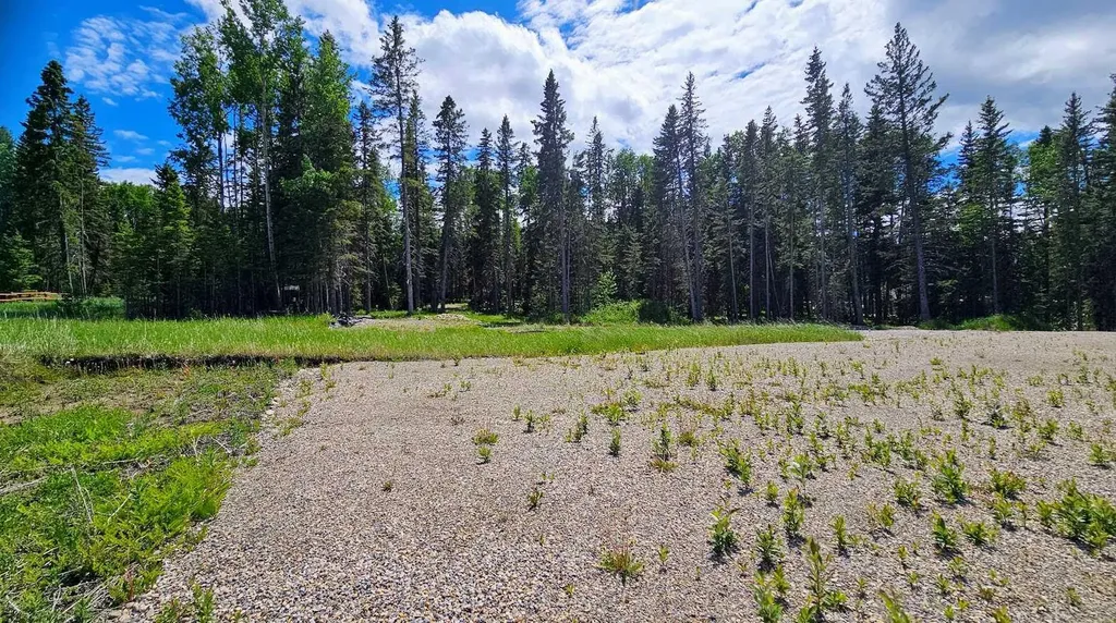 5209 Township Road 325a Rural Mountain View County AB T0M 1X0