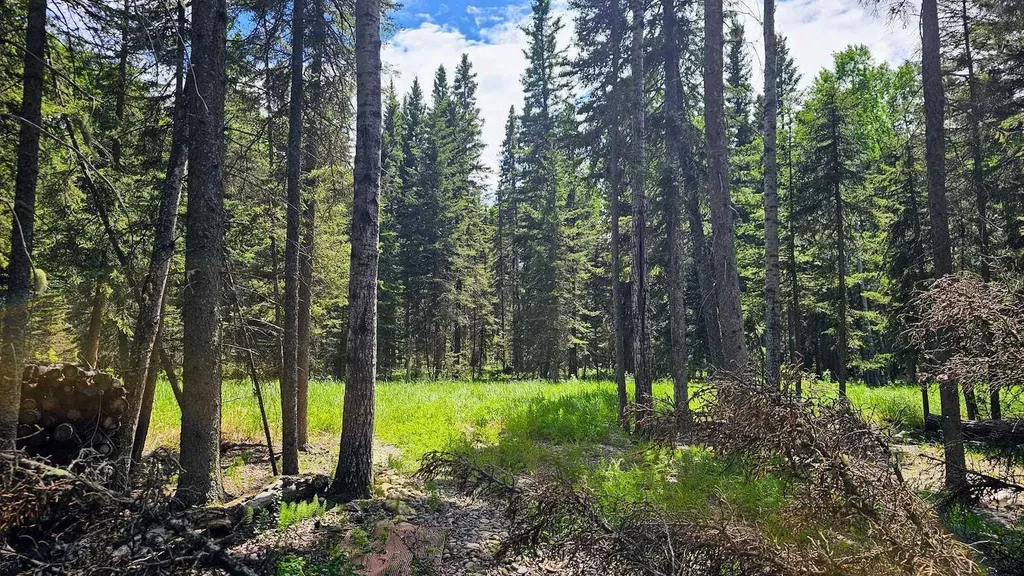 5209 Township Road 325a Rural Mountain View County AB T0M 1X0