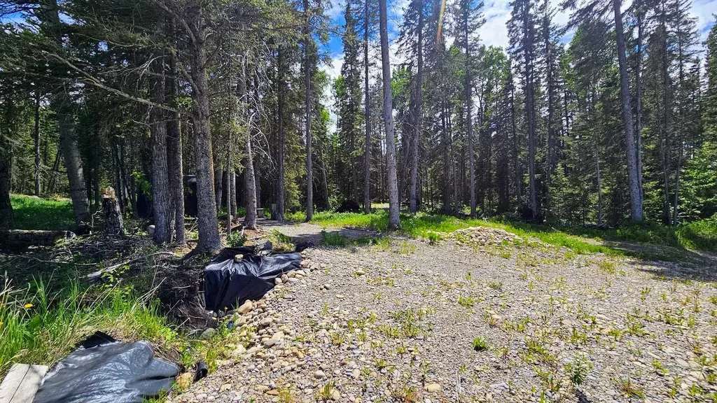 5209 Township Road 325a Rural Mountain View County AB T0M 1X0
