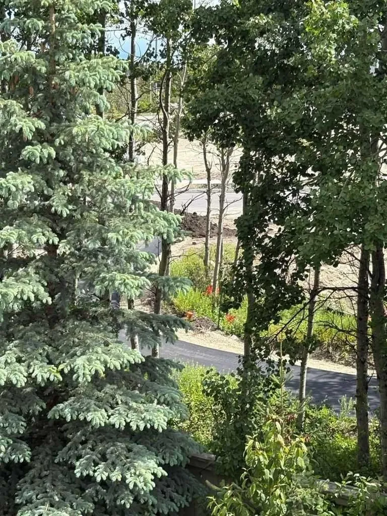 55 Wentworth Manor SW Calgary AB T3H 5K5