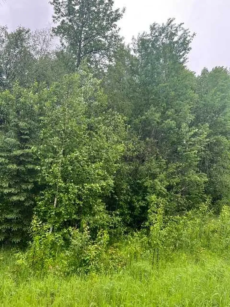 58215-58237 Range Road 121 Rural Woodlands County AB T7S 1P5