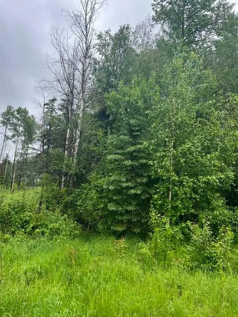 58215-58237 Range Road 121 Rural Woodlands County AB T7S 1P5