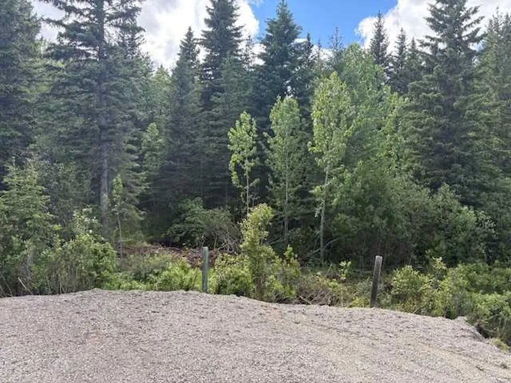 Range Road 51 Rural Mountain View County AB T0M 2E0