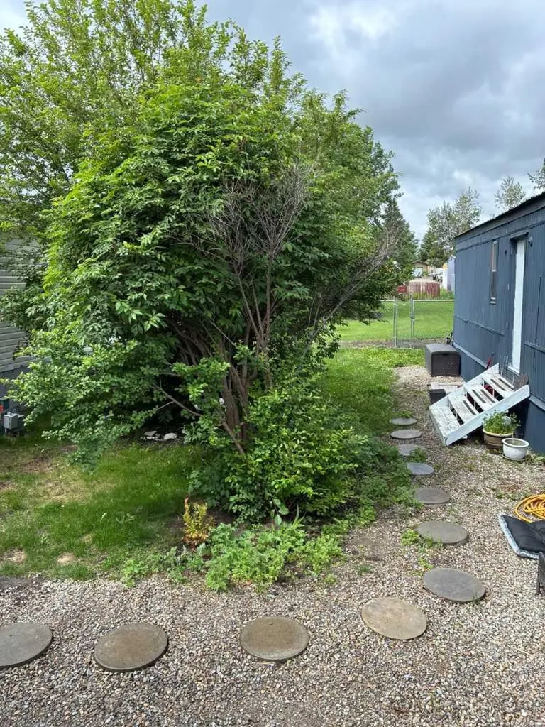 1190 15 Avenue Didsbury AB T0M0W0