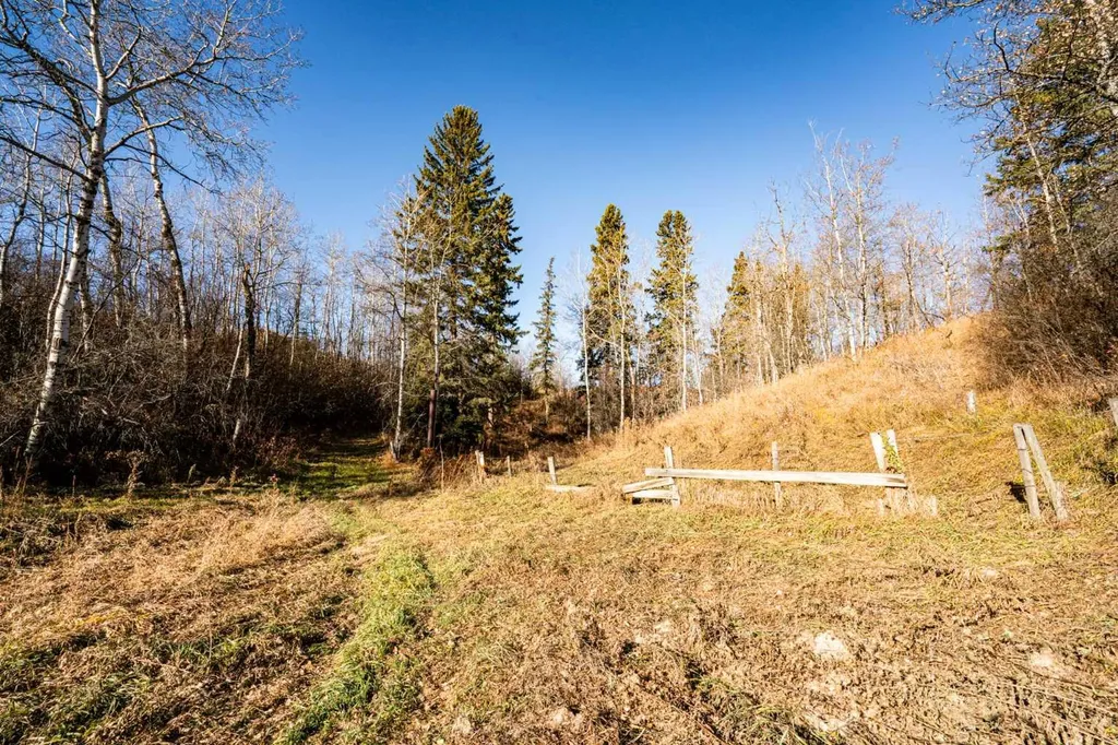 20203 460 Township Rural Camrose County AB T4V 5E7