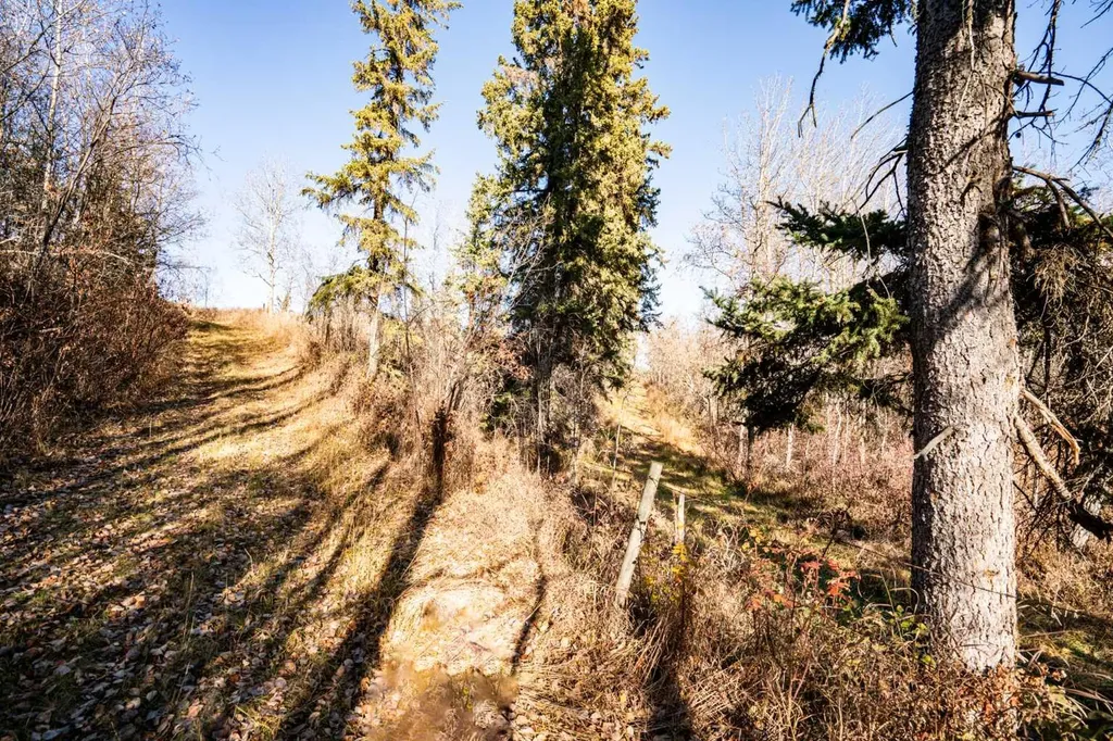 20203 460 Township Rural Camrose County AB T4V 5E7