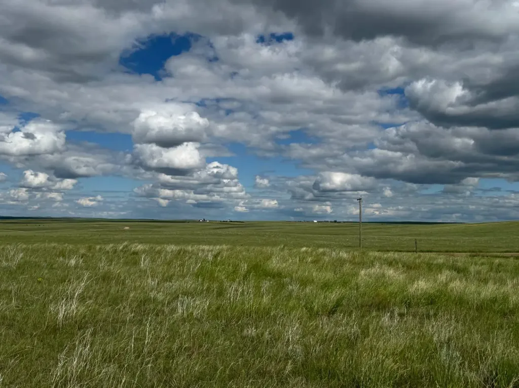 Blk 6 Range Road 43 Rural Cypress County AB T1B4C7