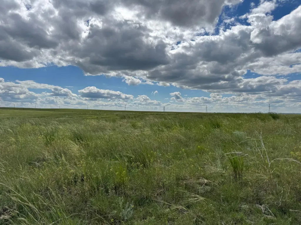 Blk 6 Range Road 43 Rural Cypress County AB T1B4C7