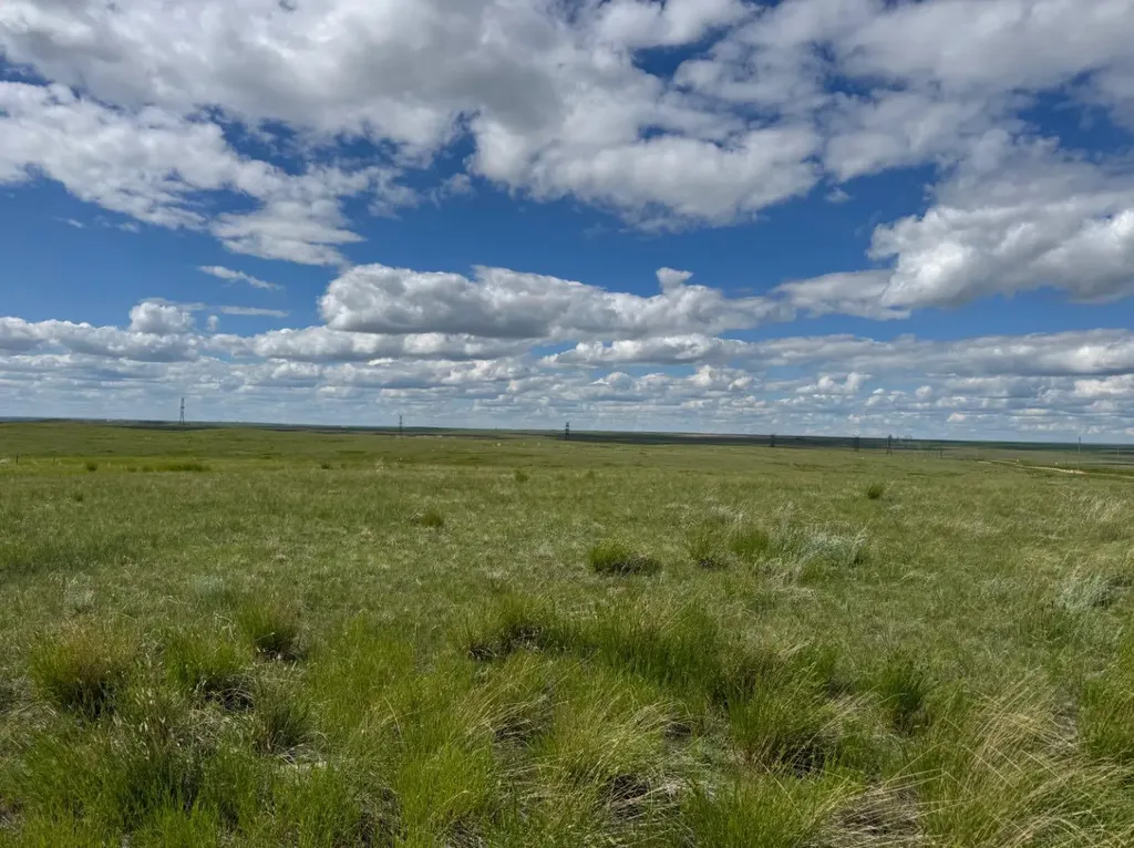 Blk 6 Range Road 43 Rural Cypress County AB T1B4C7