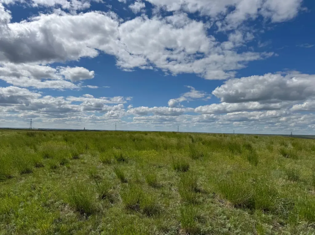Blk 6 Range Road 43 Rural Cypress County AB T1B4C7