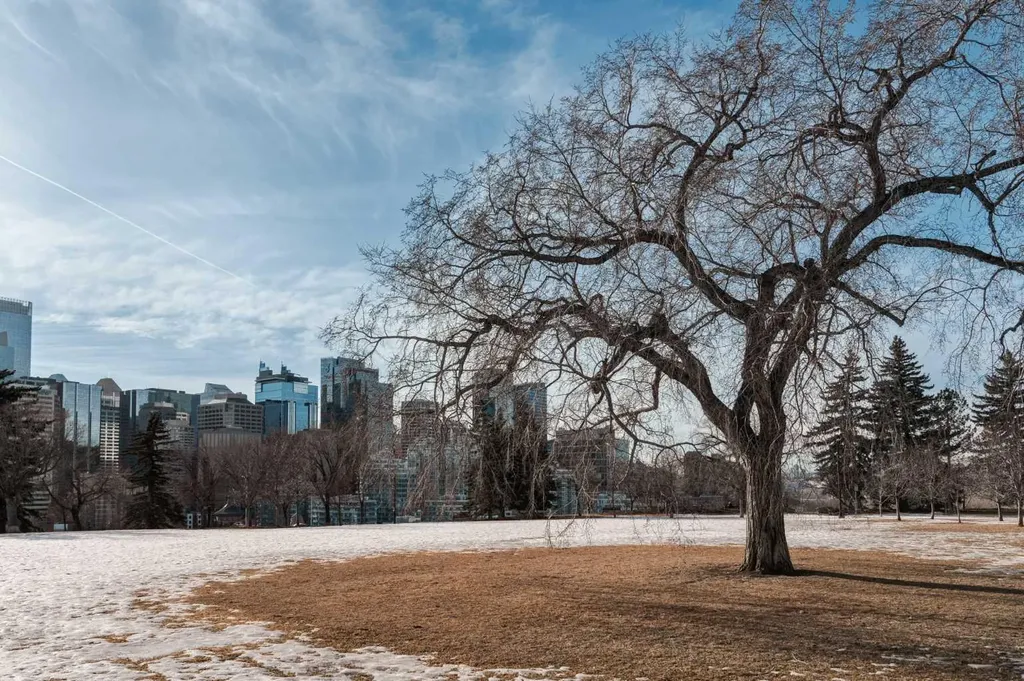 310 4 Avenue NE Calgary AB T2E 0J5