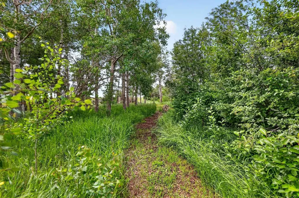 255049 Twp Road 300 Rural Kneehill County AB T0M 0A0