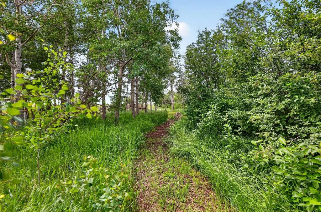255049 Twp Road 300 Rural Kneehill County AB T0M 0A0