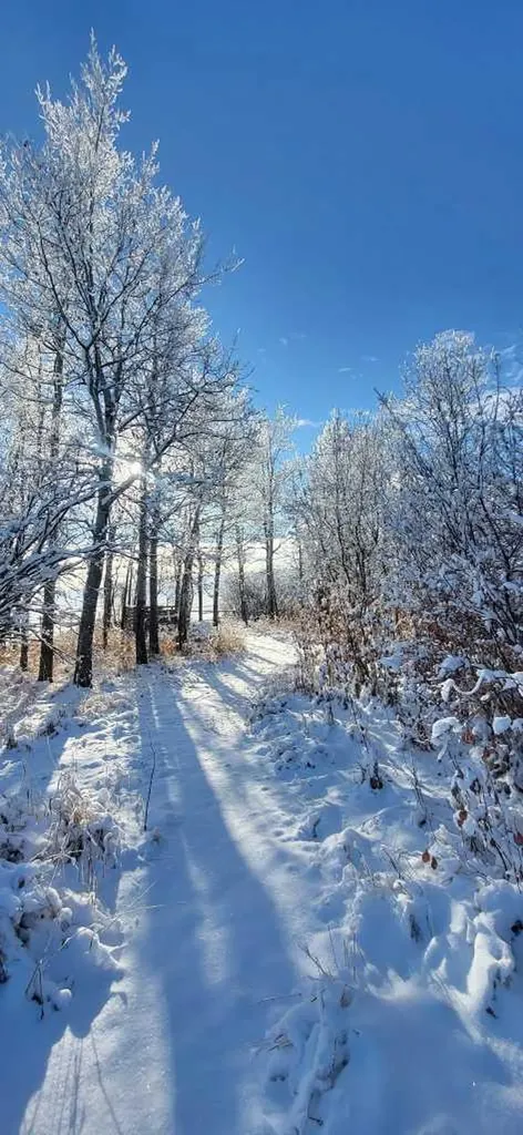 255049 Twp Road 300 Rural Kneehill County AB T0M 0A0