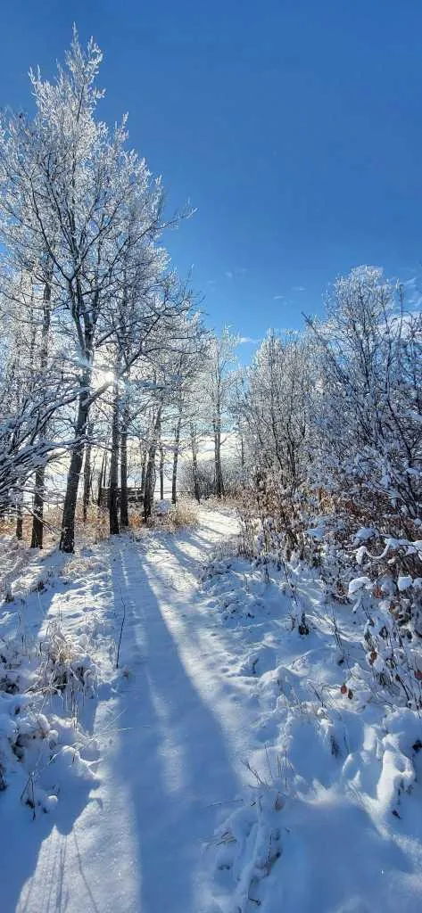 255049 Twp Road 300 Rural Kneehill County AB T0M 0A0