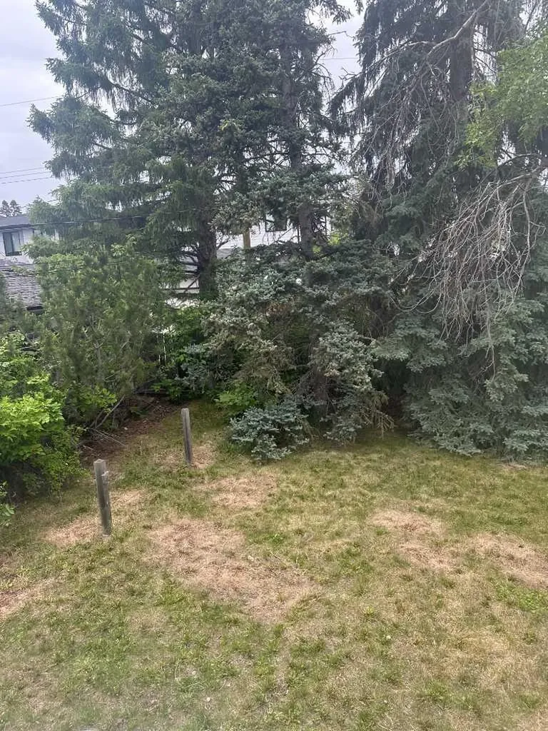 3228 Kerrydale Road SW Calgary AB T3E4S6