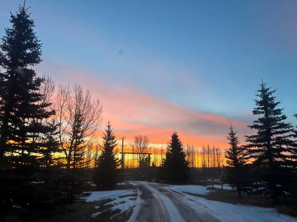 354016 64 Street E Rural Foothills County AB T1S 1B5