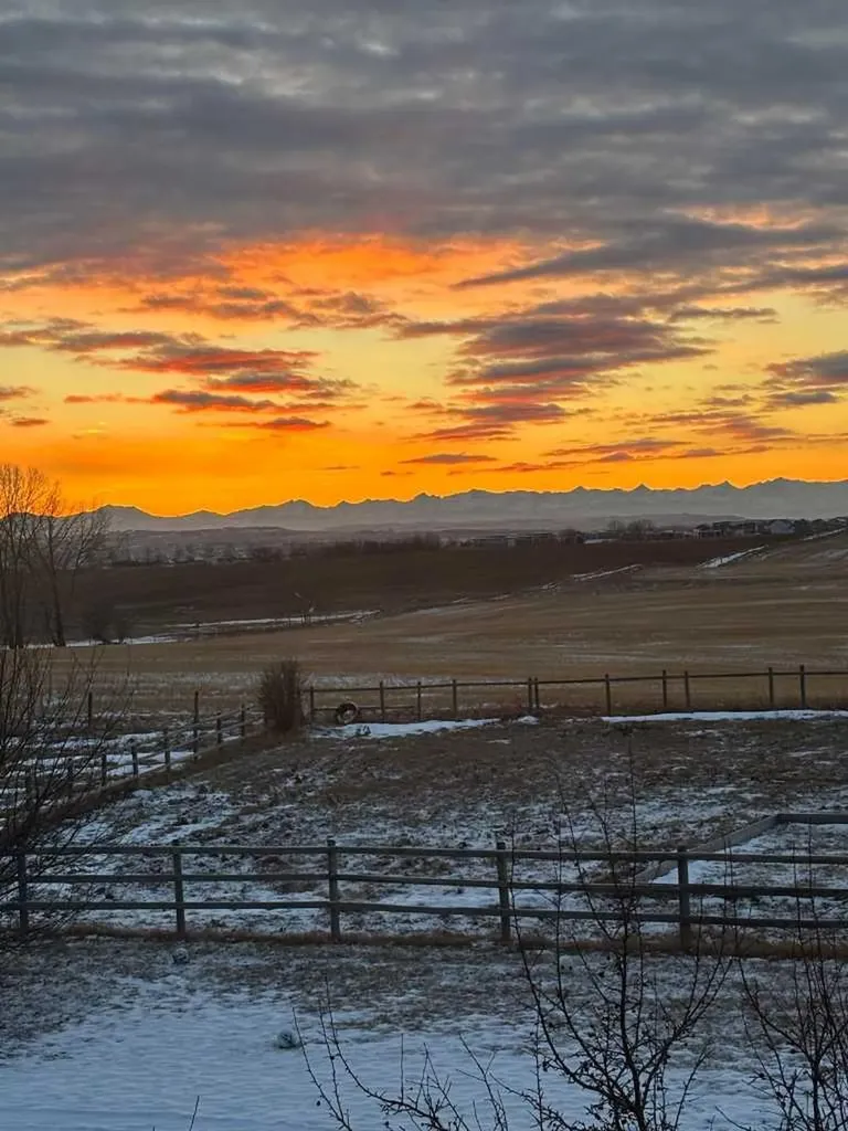 354016 64 Street E Rural Foothills County AB T1S 1B5