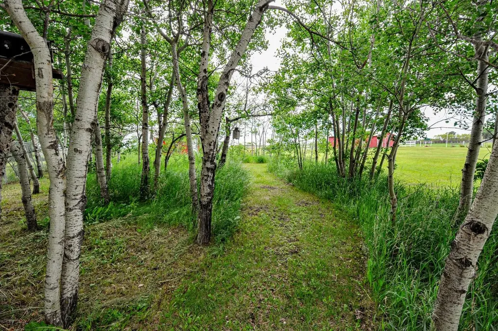 46479 Range Road 183 Rural Camrose County AB T0B 3P0