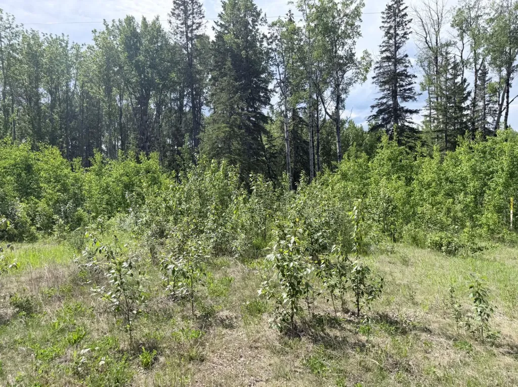 Block 1 Lot 5 Elk Ridge Estates Rural Woodlands County AB T7S 1N9