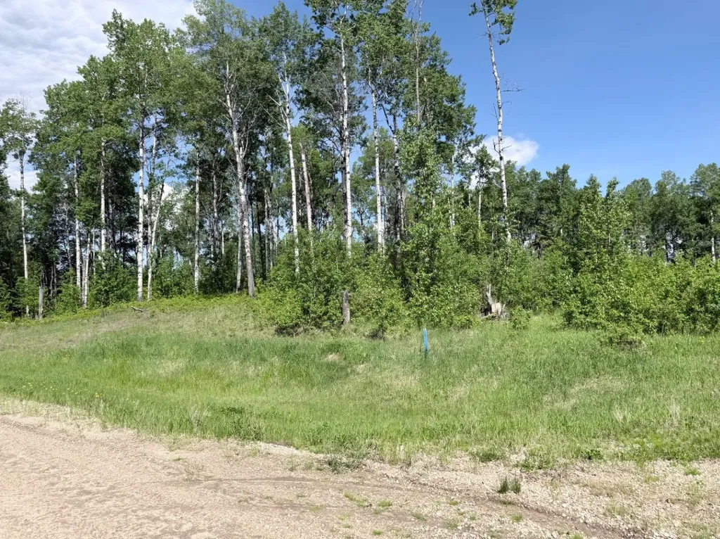 Block 1 Lot 6 Elk Ridge Estates Rural Woodlands County AB T7S 1N9