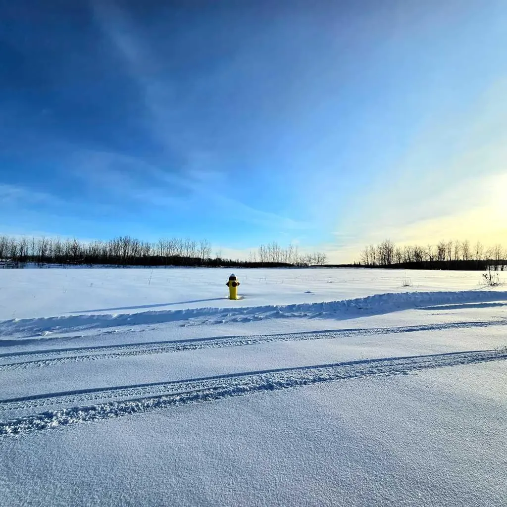 9514 83 Avenue Lac La Biche AB T0A 2C0