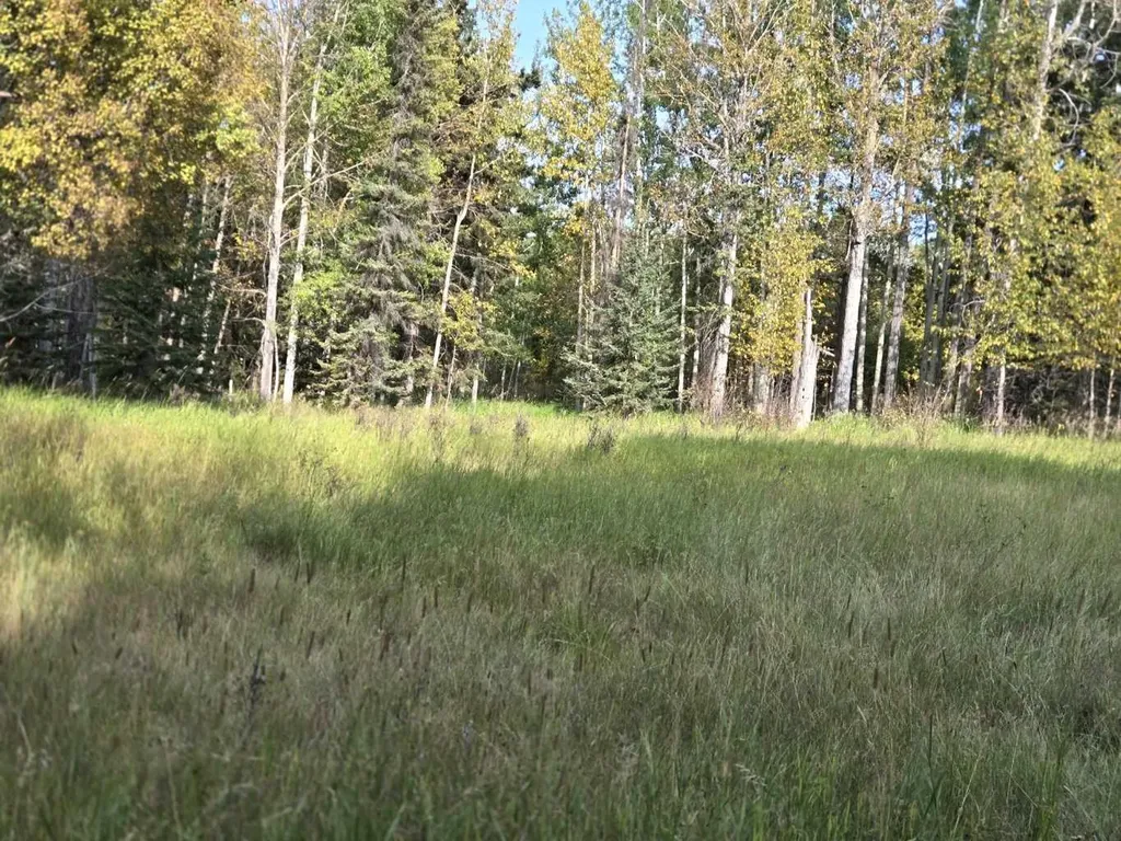 Range Road 43 Twp Road 360 Caroline AB T4G 2V0