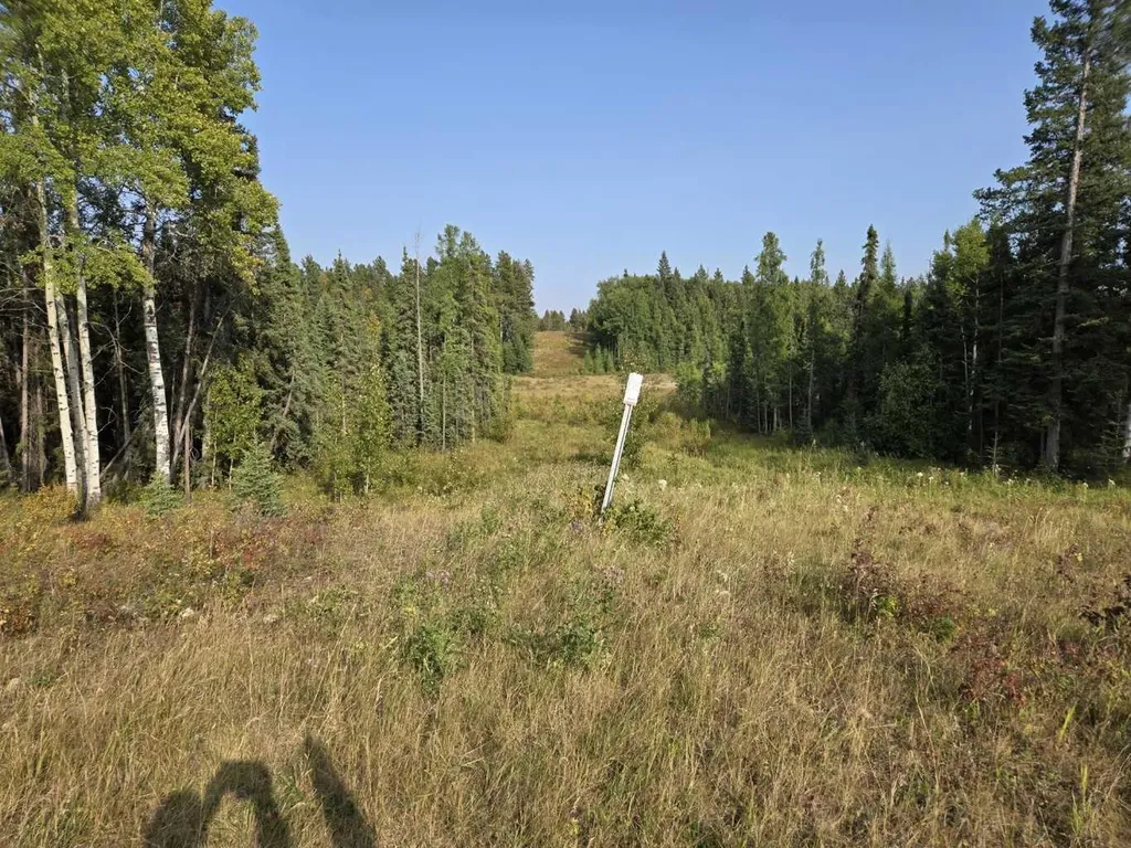 Range Road 43 Twp Road 360 Caroline AB T4G 2V0