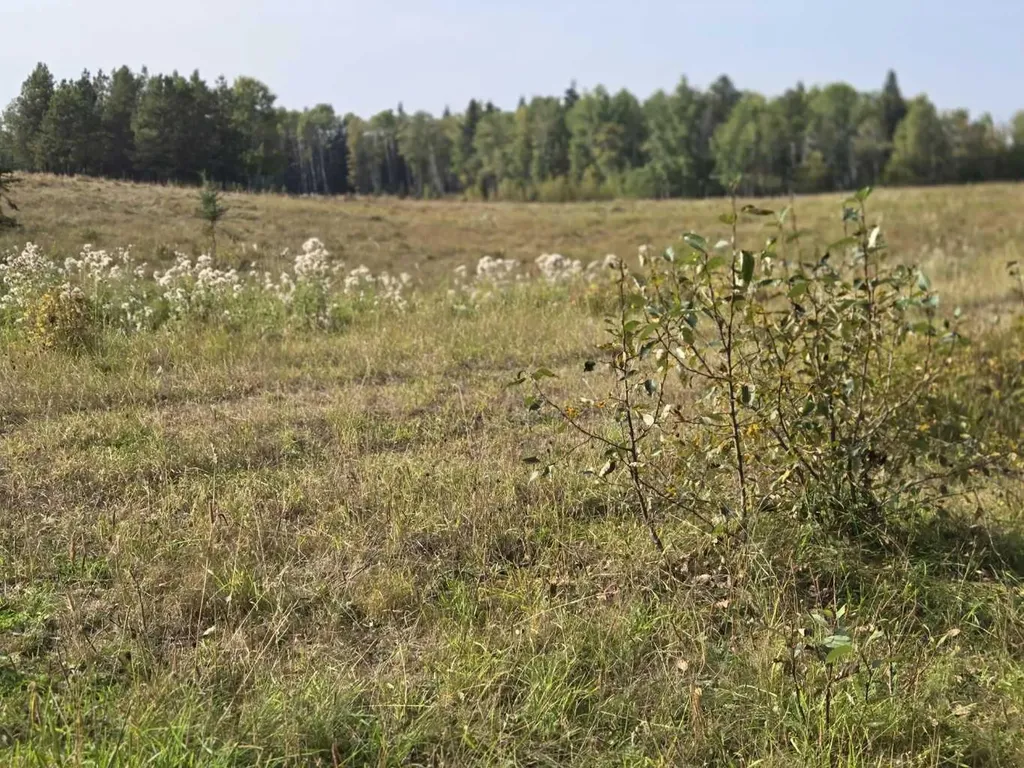 Range Road 43 Twp Road 360 Caroline AB T4G 2V0