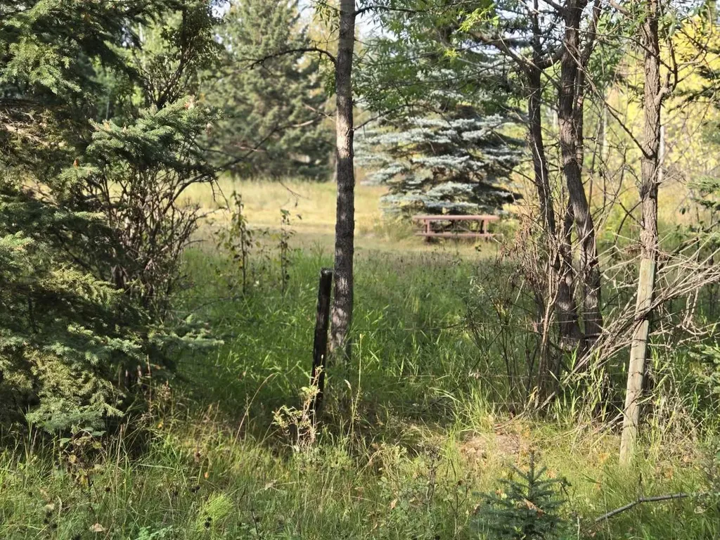 Range Road 43 Twp Road 360 Caroline AB T4G 2V0