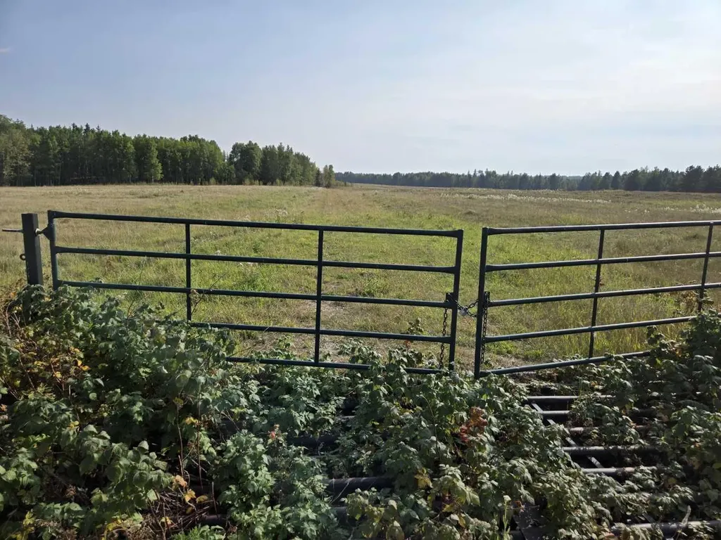 Range Road 43 Twp Road 360 Caroline AB T4G 2V0