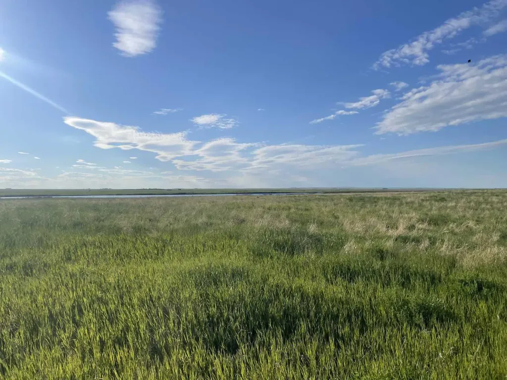 Township Road 182 Township Road 182 Brant AB T0L 0L0